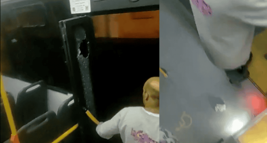 Ataque a piedrazos contra un colectivo en el Parque Independencia