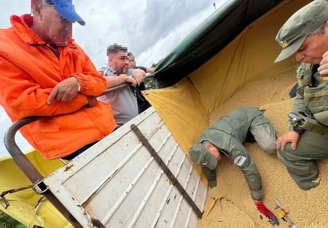 Ocultaban 20kg de cocaína entre granos de soja en un camión que iba rumbo a Rosario