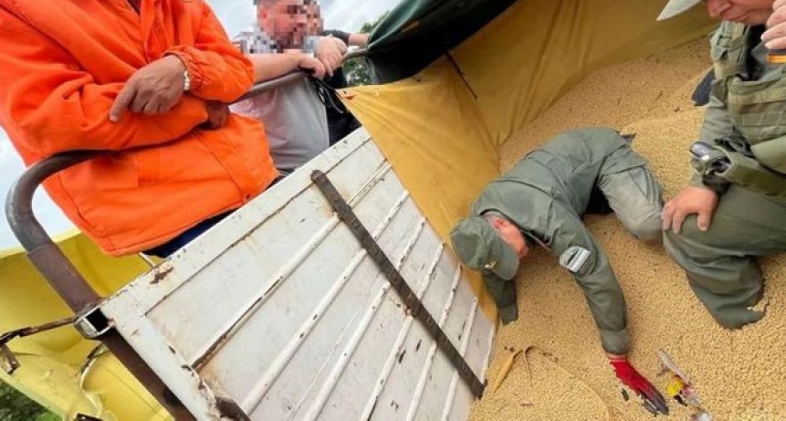 Ocultaban 20kg de cocaína entre granos de soja en un camión que iba rumbo a Rosario
