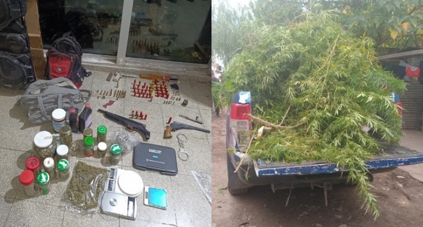 Detienen a dos personas tras una balacera y encuentran armas y plantación de marihuana en su domicilio