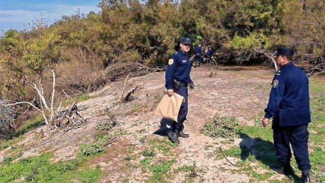 Entre Ríos: Aparecieron restos óseos en una zona agreste del Parque Nacional El Palmar