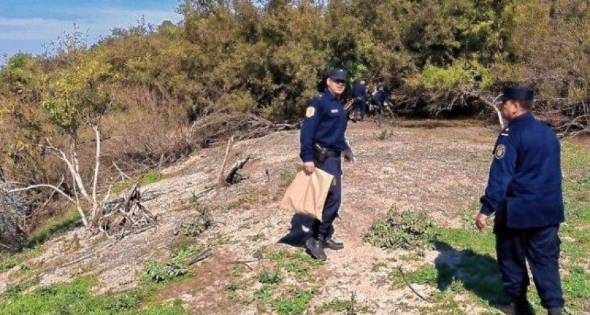 Entre Ríos: Aparecieron restos óseos en una zona agreste del Parque Nacional El Palmar