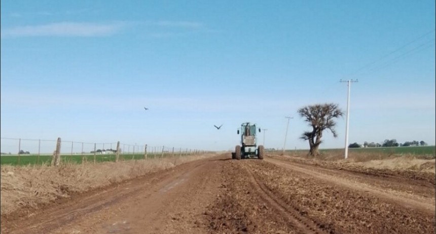 Presunto nuevo narcobombardeo en un campo del sur santafesino
