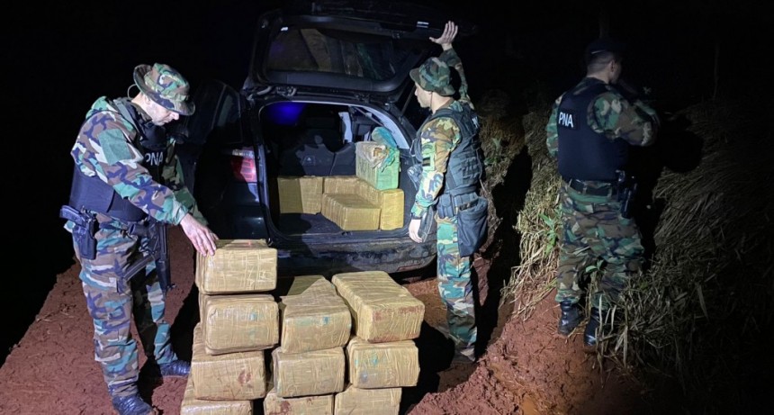 Operativo en Misiones: Prefectura decomisó un cargamento millonario de marihuana