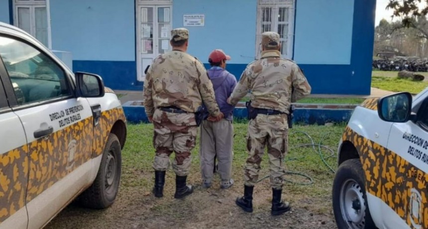Secuestran armas y detienen a un hombre por robo de animales vacunos 