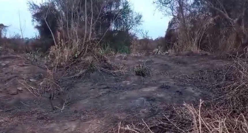 Pescadores encontraron restos de un cuerpo humano quemado en Paraná 