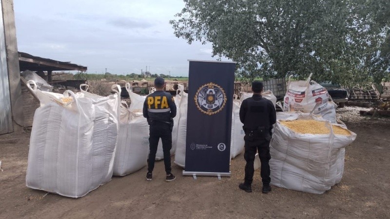 Allanamientos por robo de granos: incautan 60 toneladas de maíz y armas