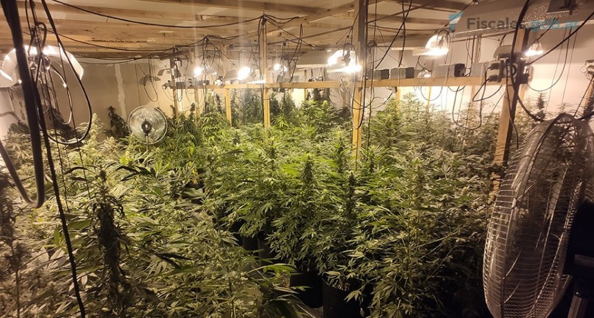 Rosario: cuatro condenados a prisión por cultivar marihuana en un sofisticado galpón