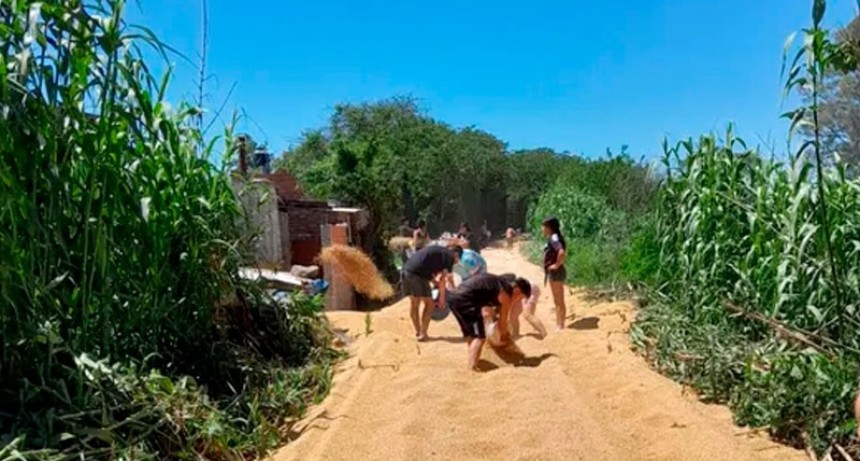 Boicot y saqueo de mil toneladas de soja en tren de carga en Villa Gobernador Gálvez