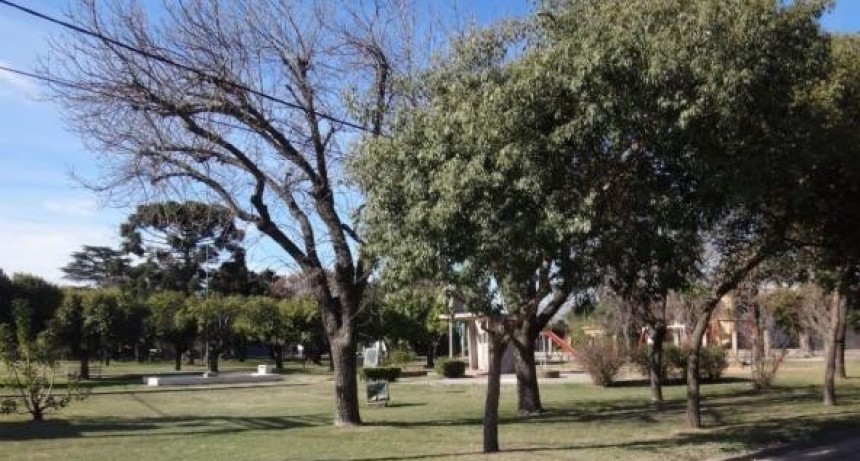 Encuentran un feto humano en descomposición dentro de un tarro en Ricardone