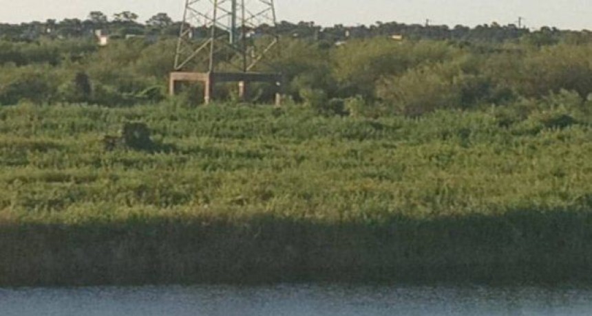 Santa Fe: Hallan un cadáver flotando en el río Salado a la altura de Circunvalación y Mendoza