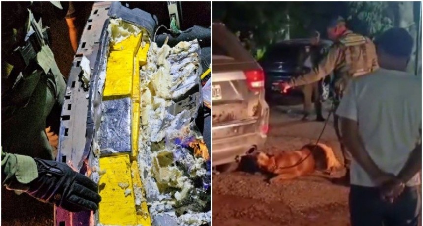 Ceres: Una perra antinarcóticos permitió incautar más de 100 kilos de cocaína en un control